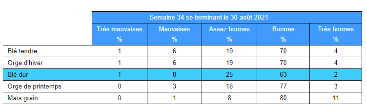 Sitagri blé dur 